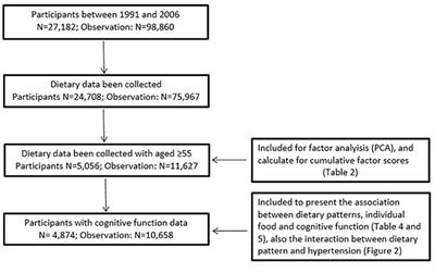 Dietary Pattern, Hypertension and Cognitive Function in an Older Population: 10-Year Longitudinal Survey